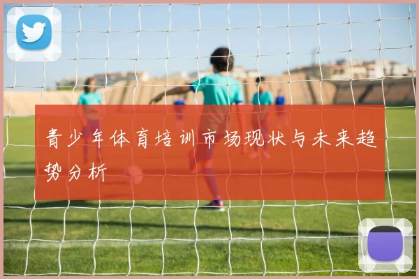 青少年体育培训市场现状与未来趋势分析