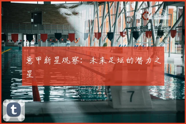 意甲新星观察：未来足坛的潜力之星